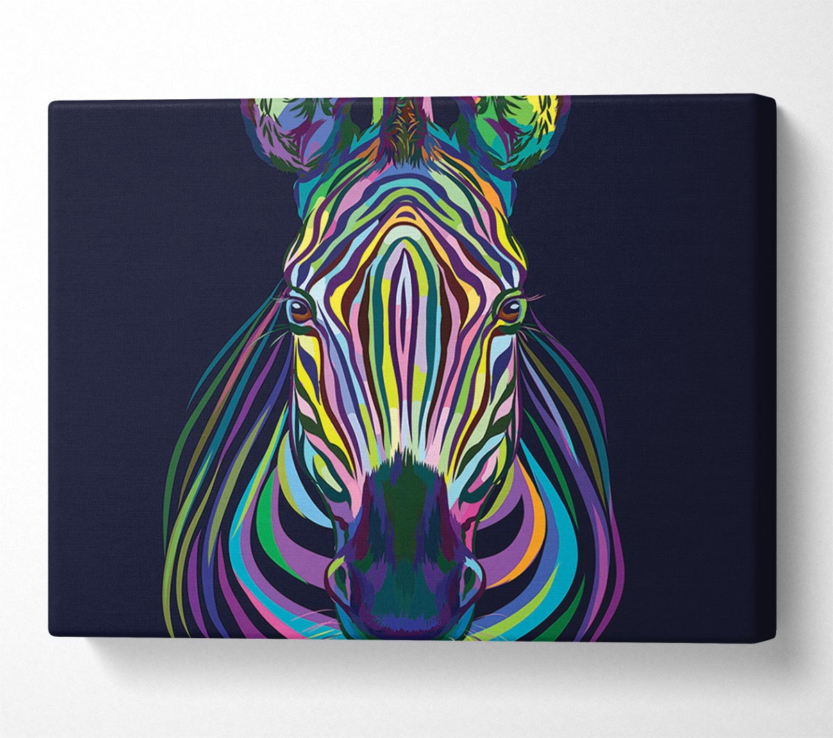 Stunning Zebra Vibrant