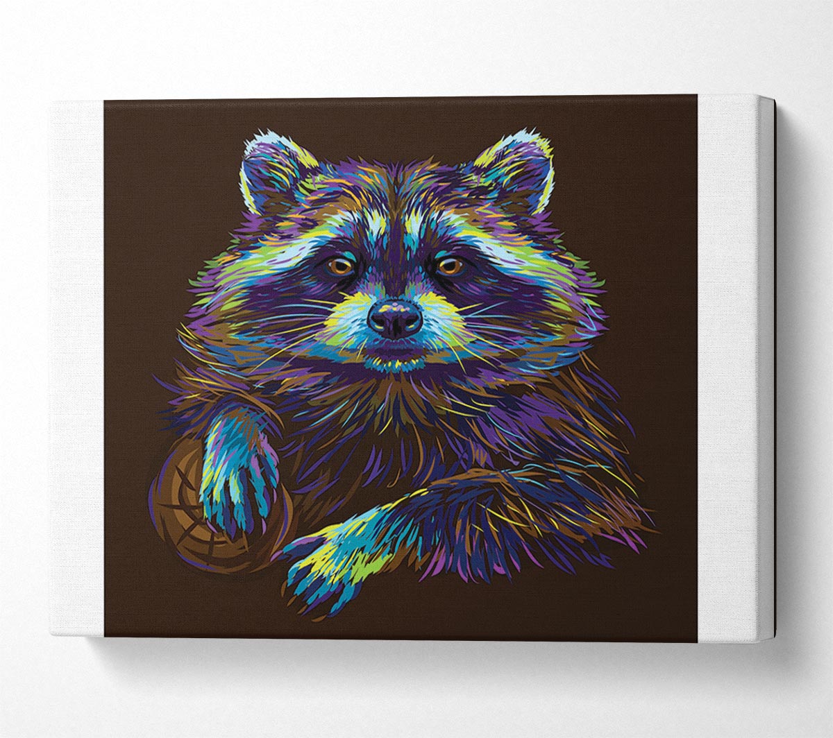 The Cheeky Racoon