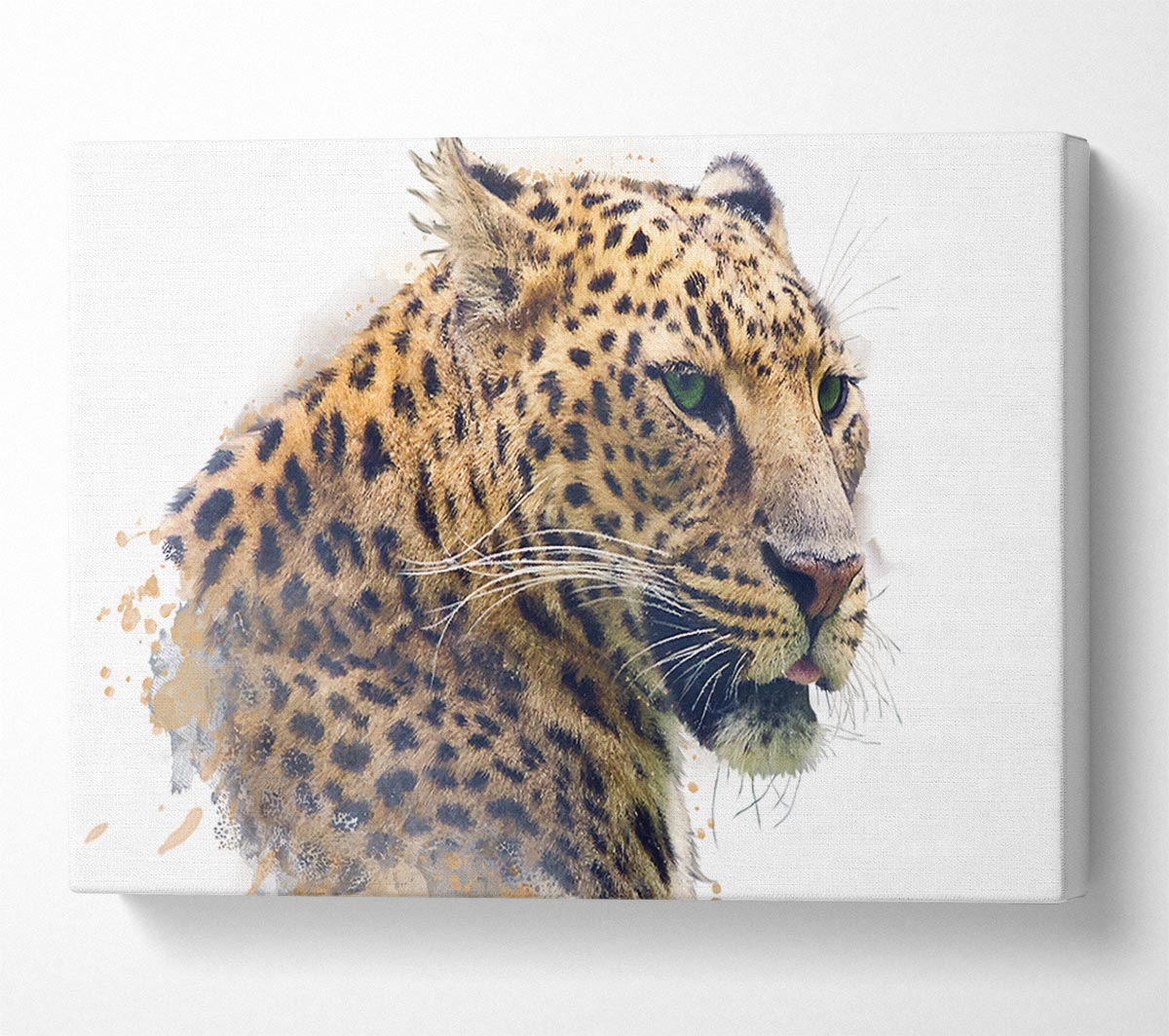 Watercolor Splash Leopard