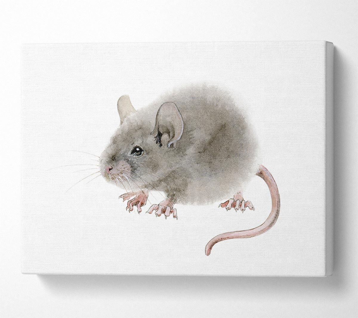 Cute Little Mouse