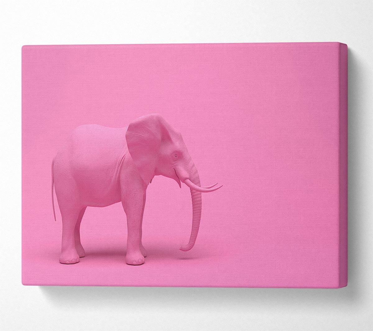 The Pink Elephant