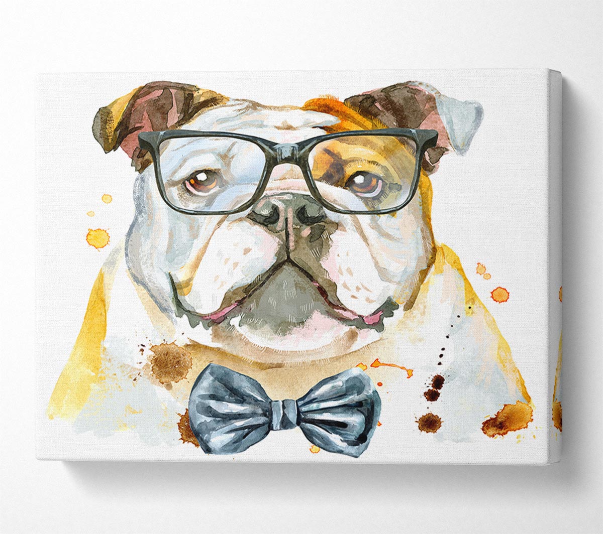 The Bulldog With Glasses