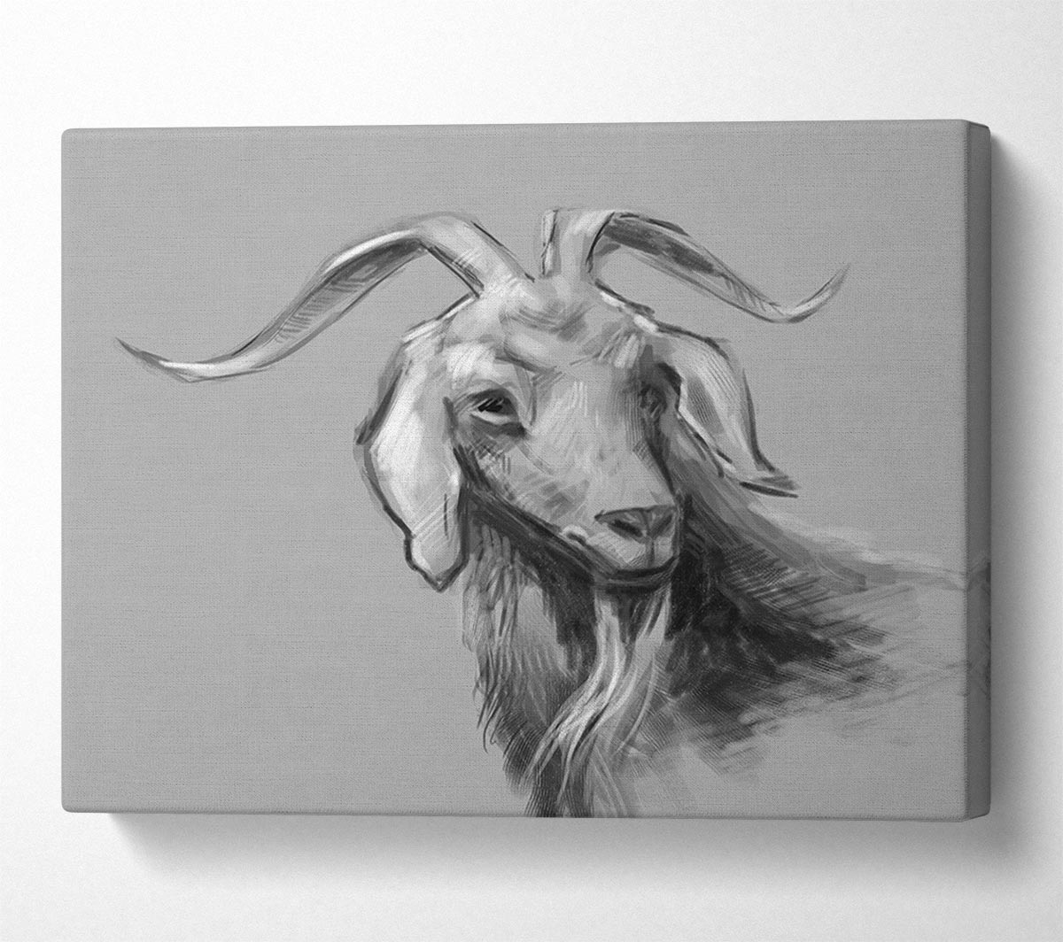 The Sketch Goat