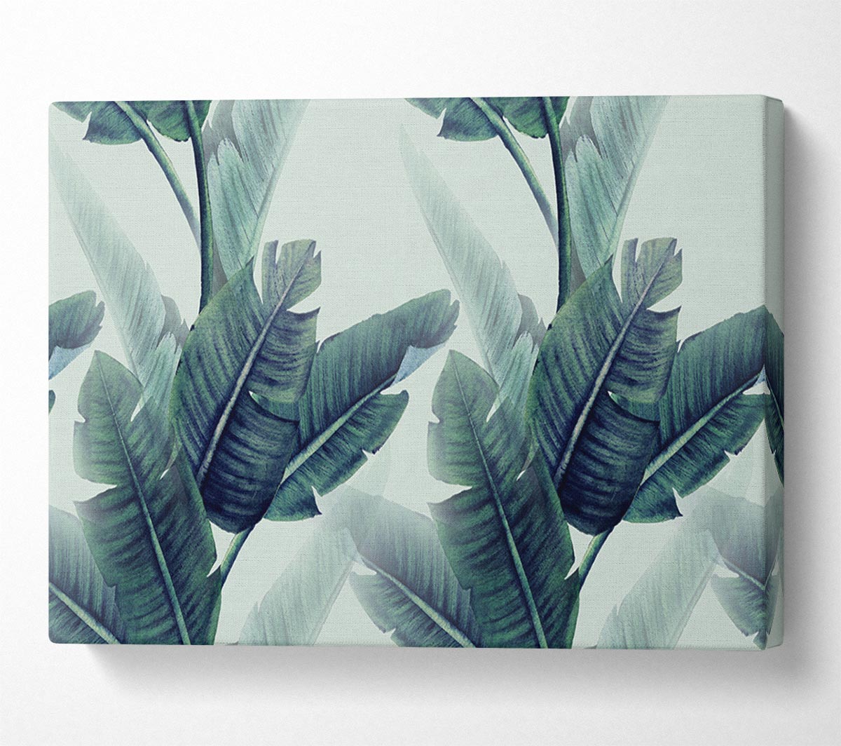 Green Banana Leaves