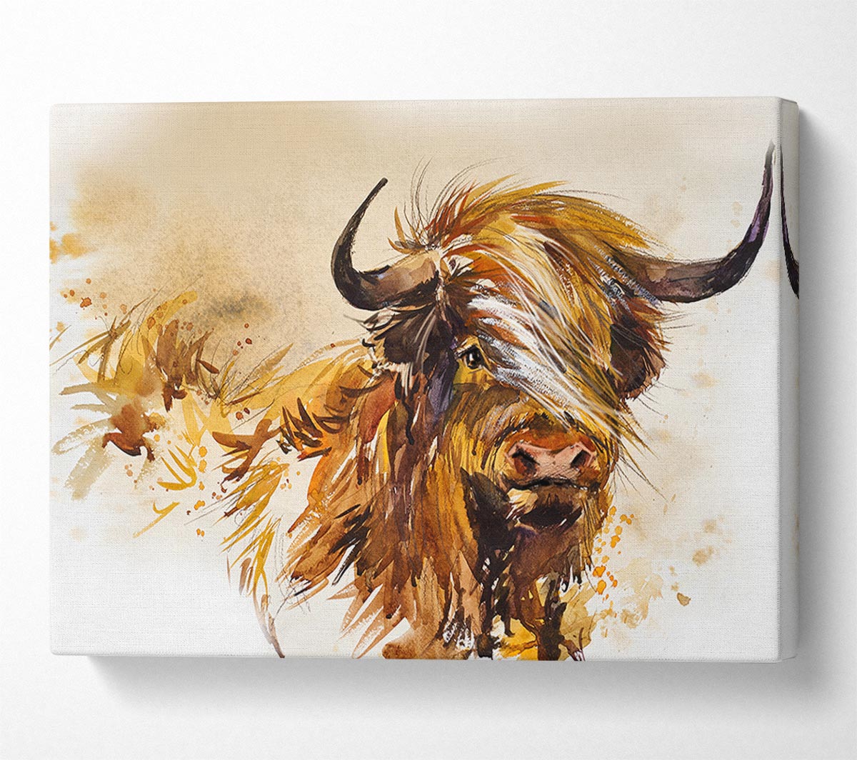 The Orange Highland Cow