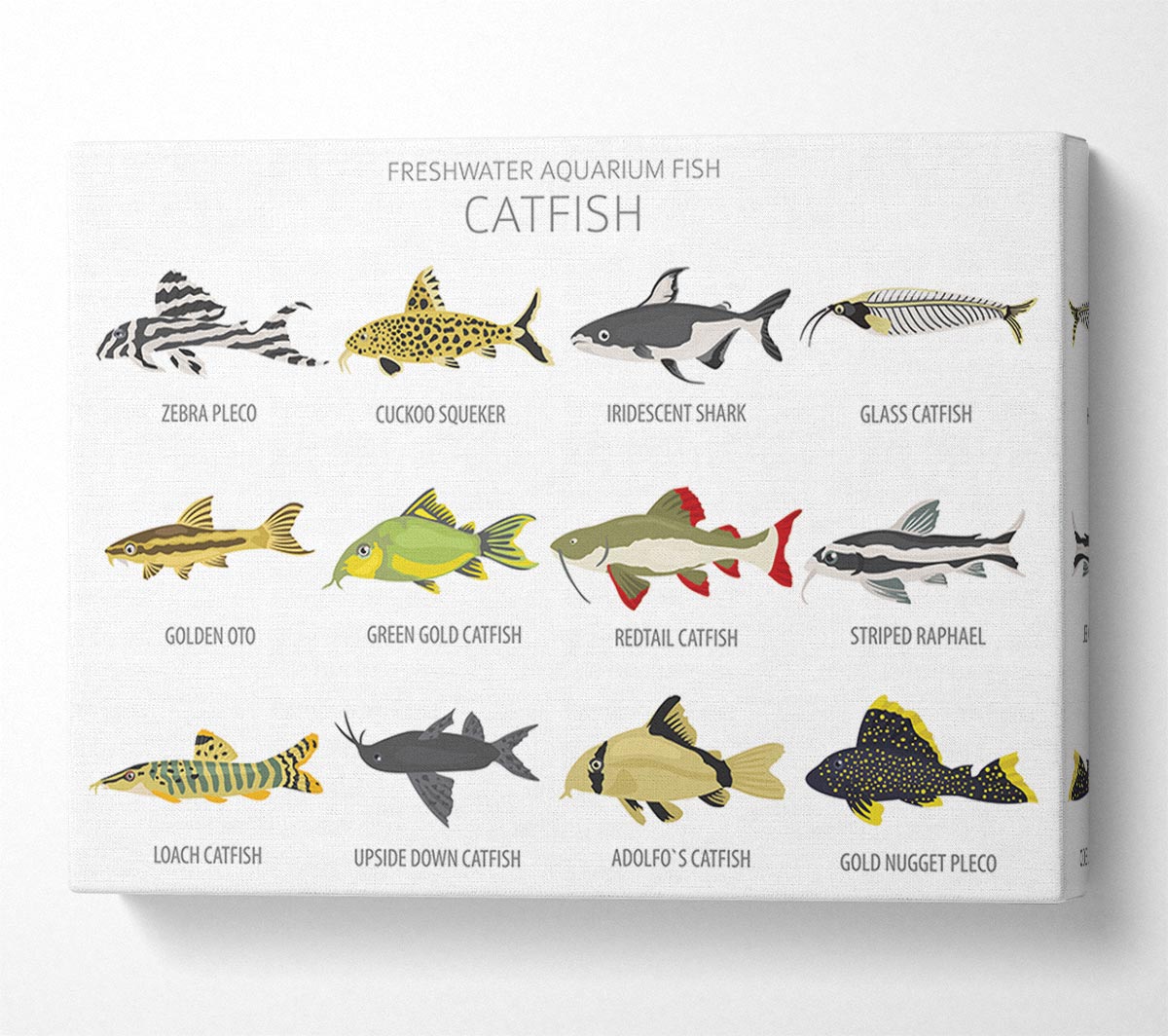 Catfish Chart