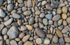 Tapeta Beton/Guri M10853