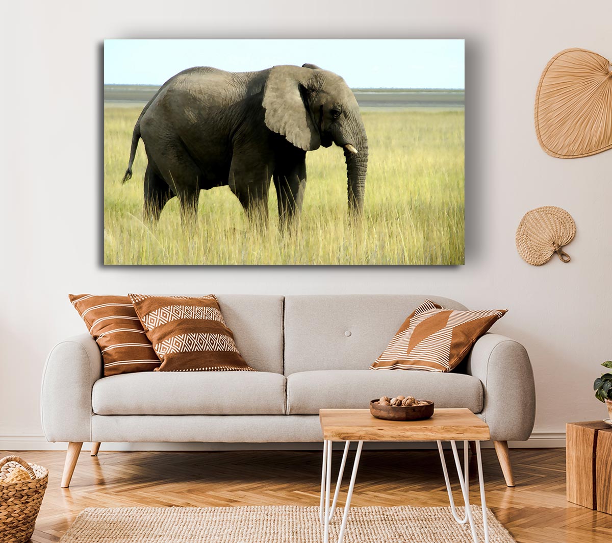 African Elephant Namibia