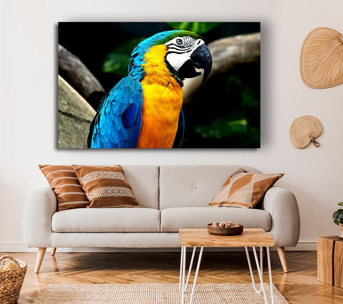 Amazing Parrot