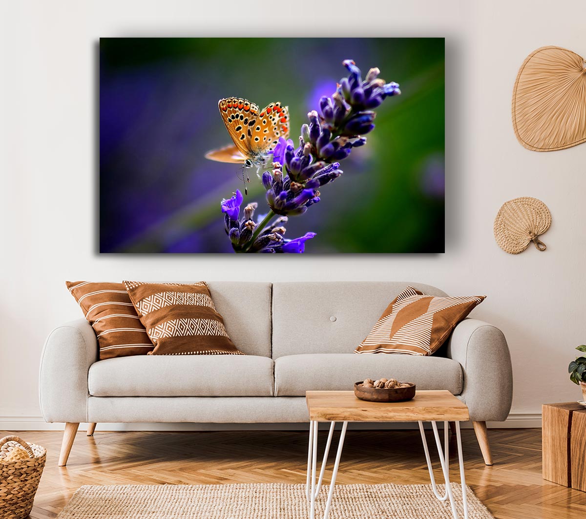 Butterfly On Lavender Flower