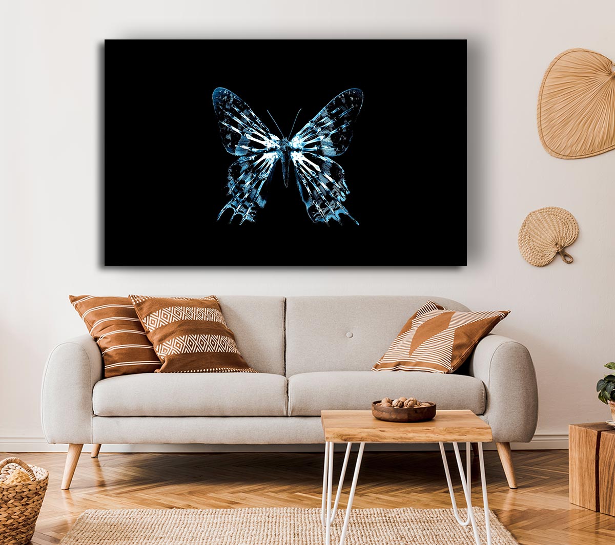 Butterfly X Ray