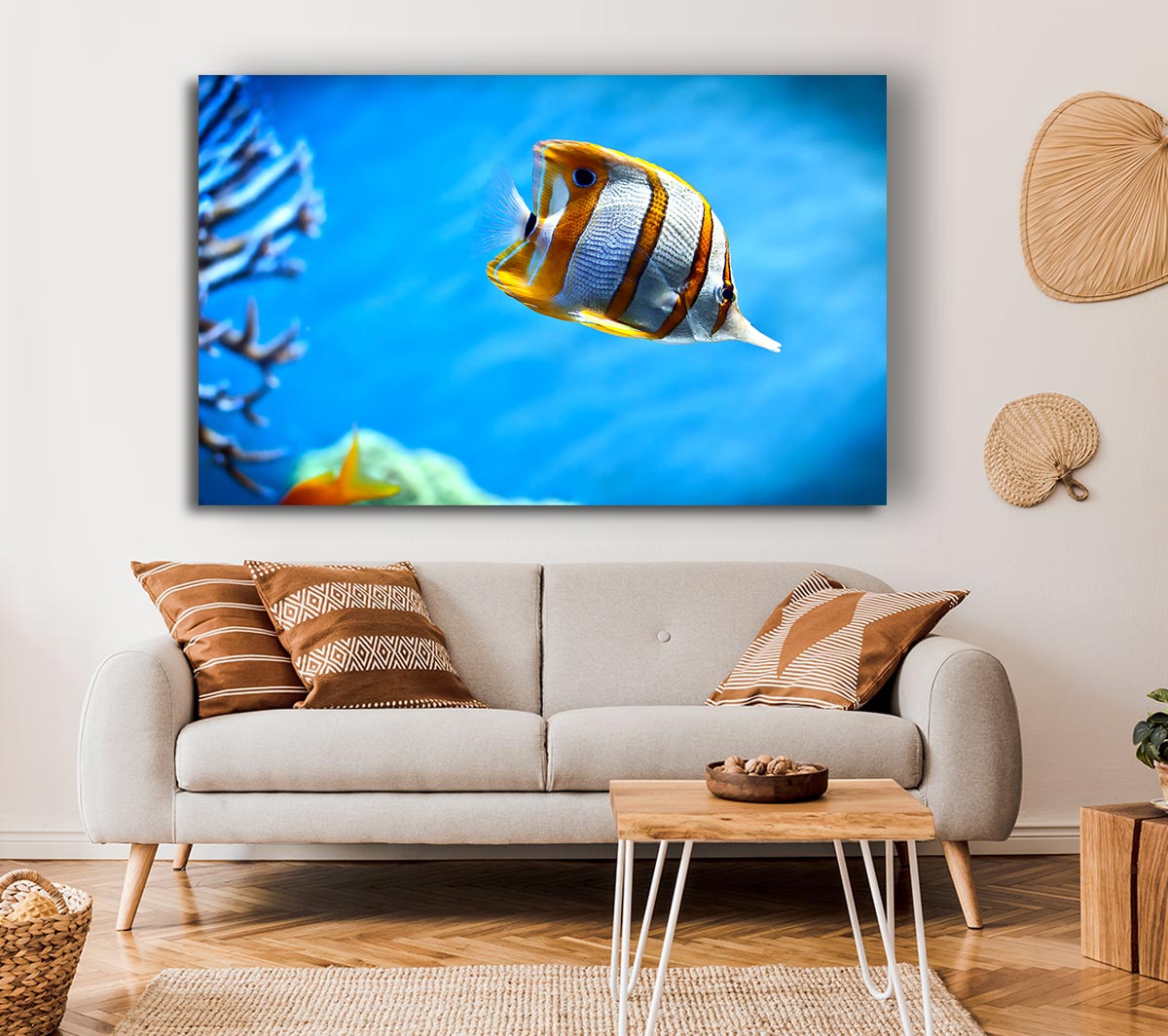 Copperband Butterfly Fish