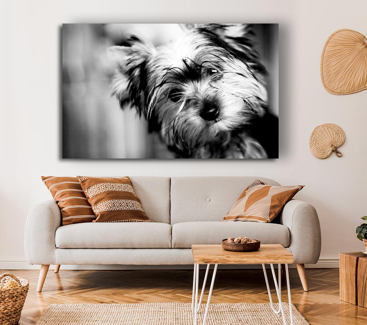 Cute Yorkshire Terrier