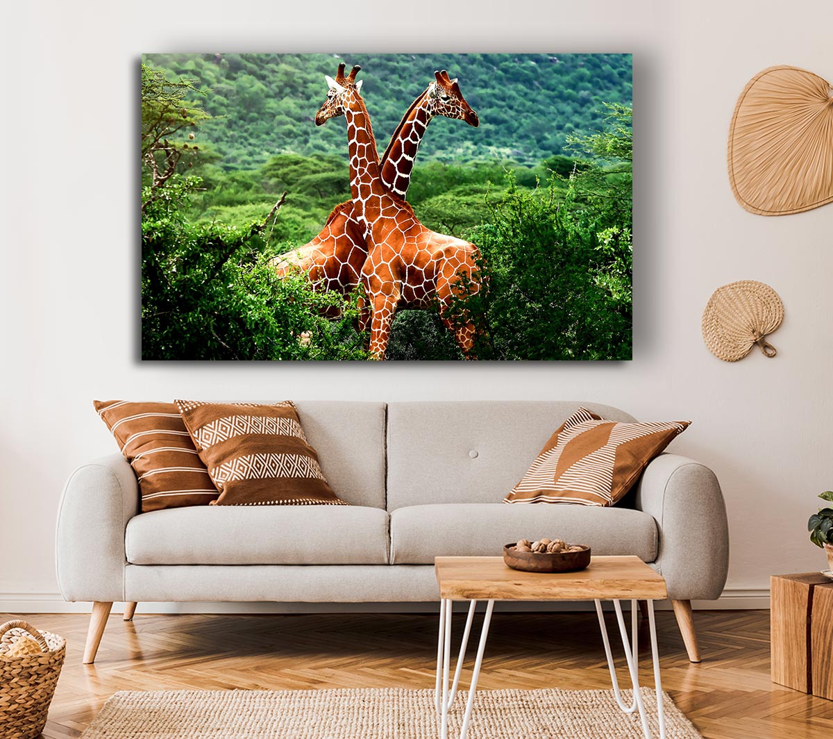 Giraffes Africa