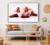 Pig Portrait