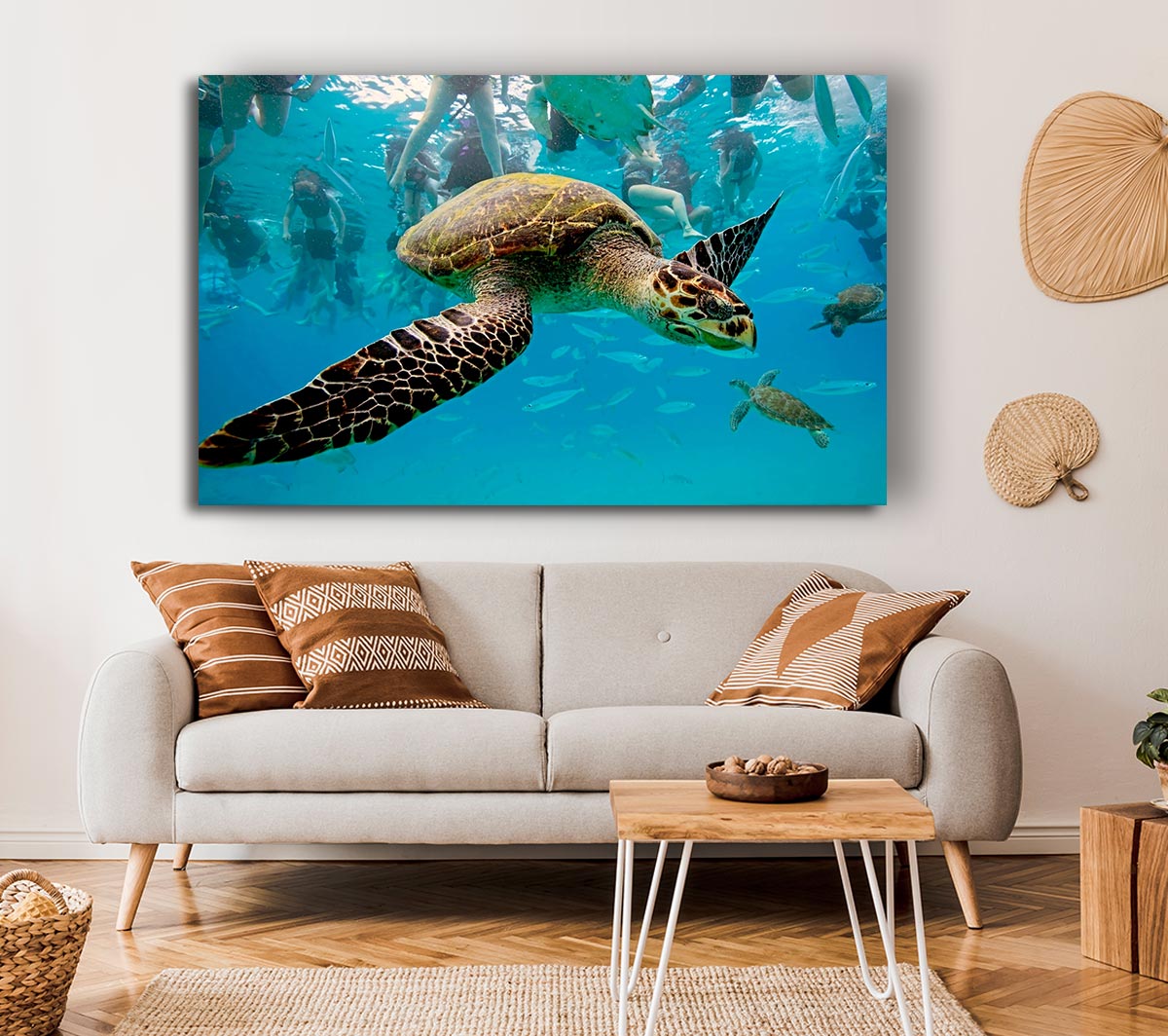 Sea Turtle Under Water