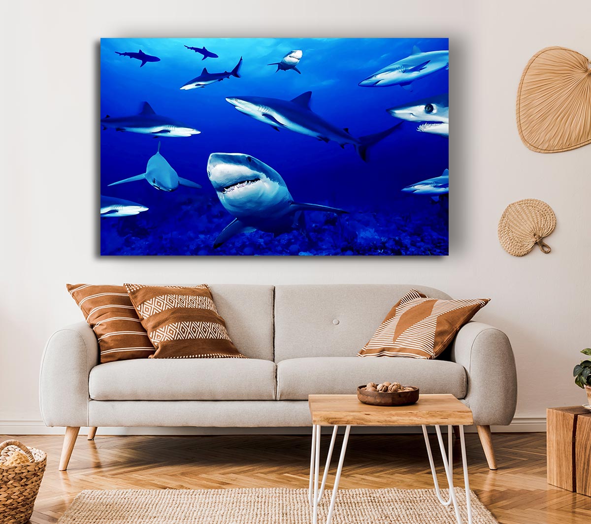 Sharks Ocean