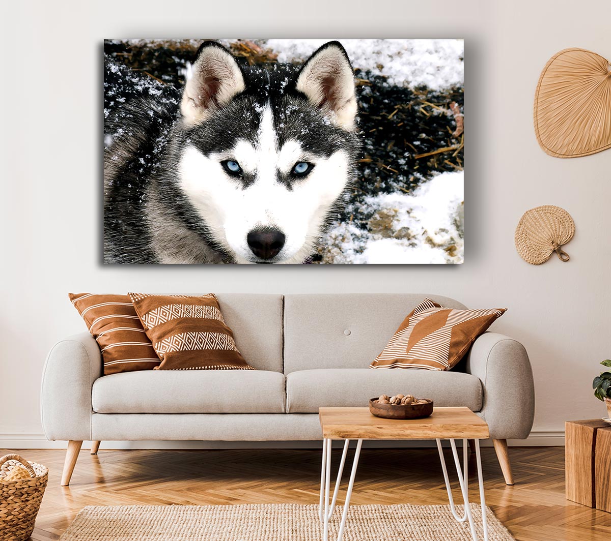 Siberian Husky Wolf