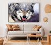 Snarling Gray Wolf