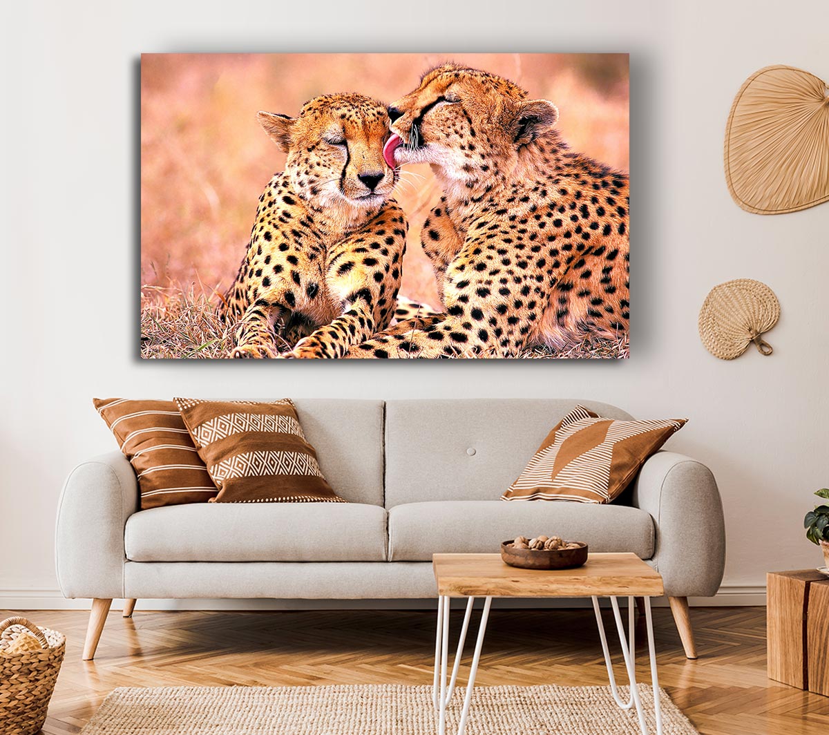 South African Cheetahs