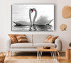 White Swans 2