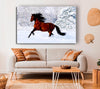 Wild Horse In The Snow