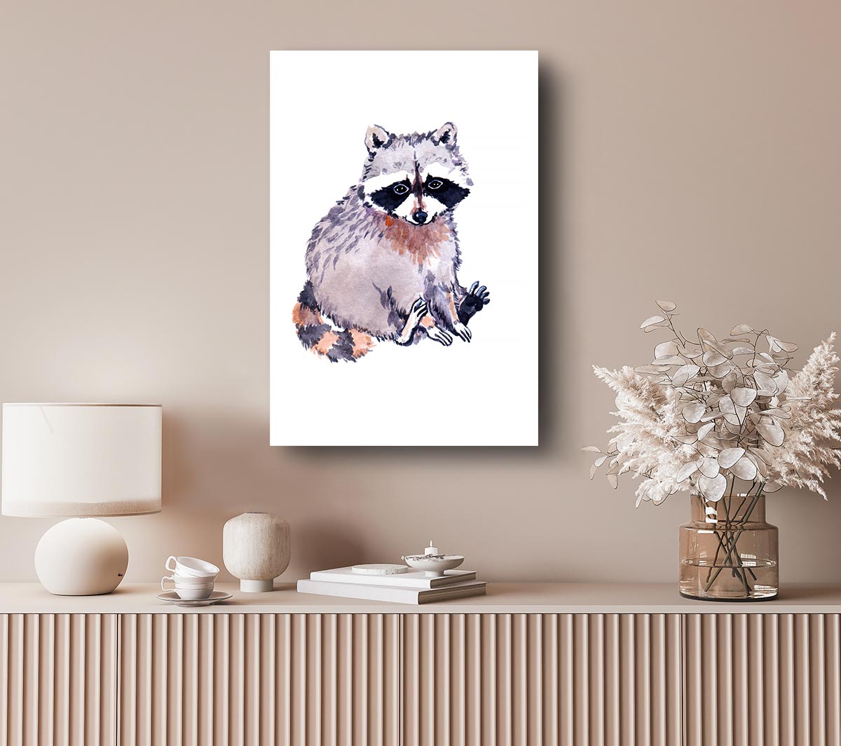 Raccoon Sitting