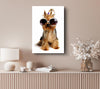 Yorkshire Terrier Dog Glamour