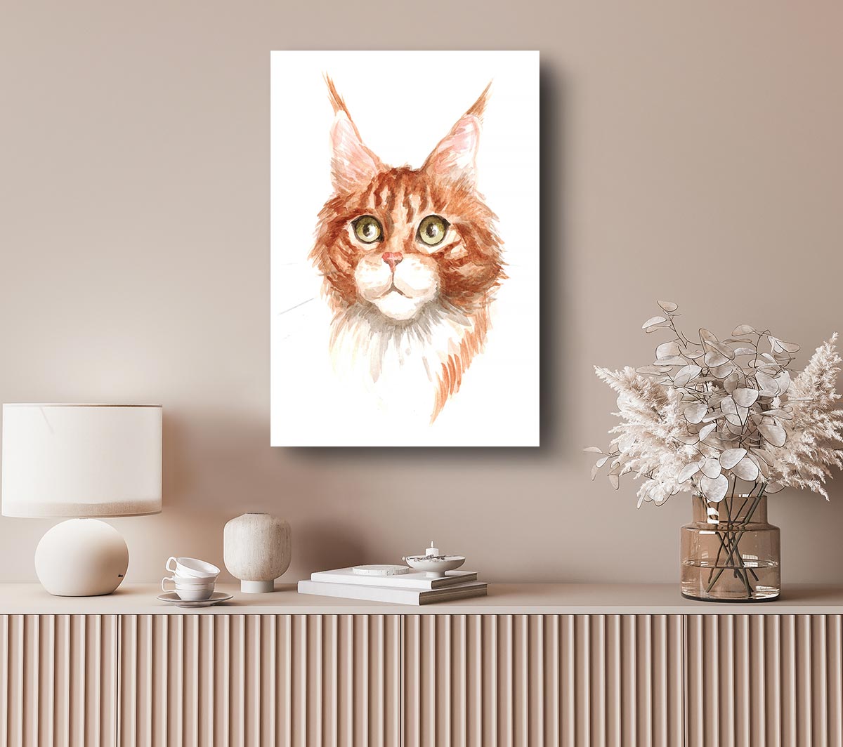 Ginger Tom Cat