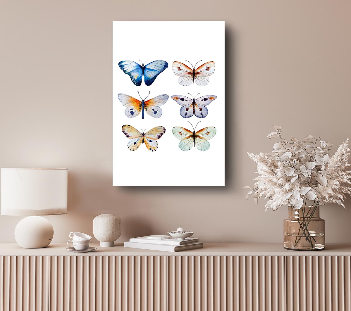 Butterfly Breeds