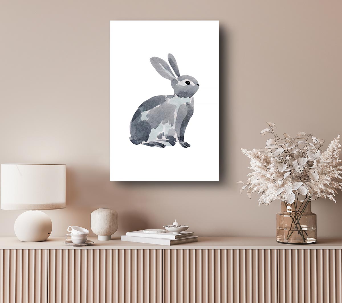 Grey Rabbit