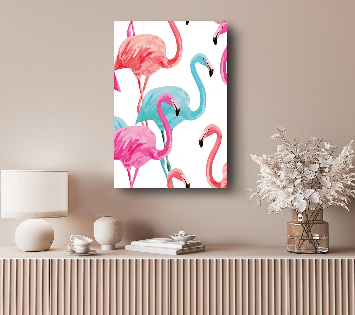 Flamingo Colours