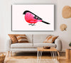 Pink Robin Breast