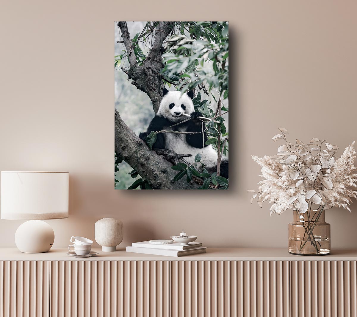 Panda Tree Lover