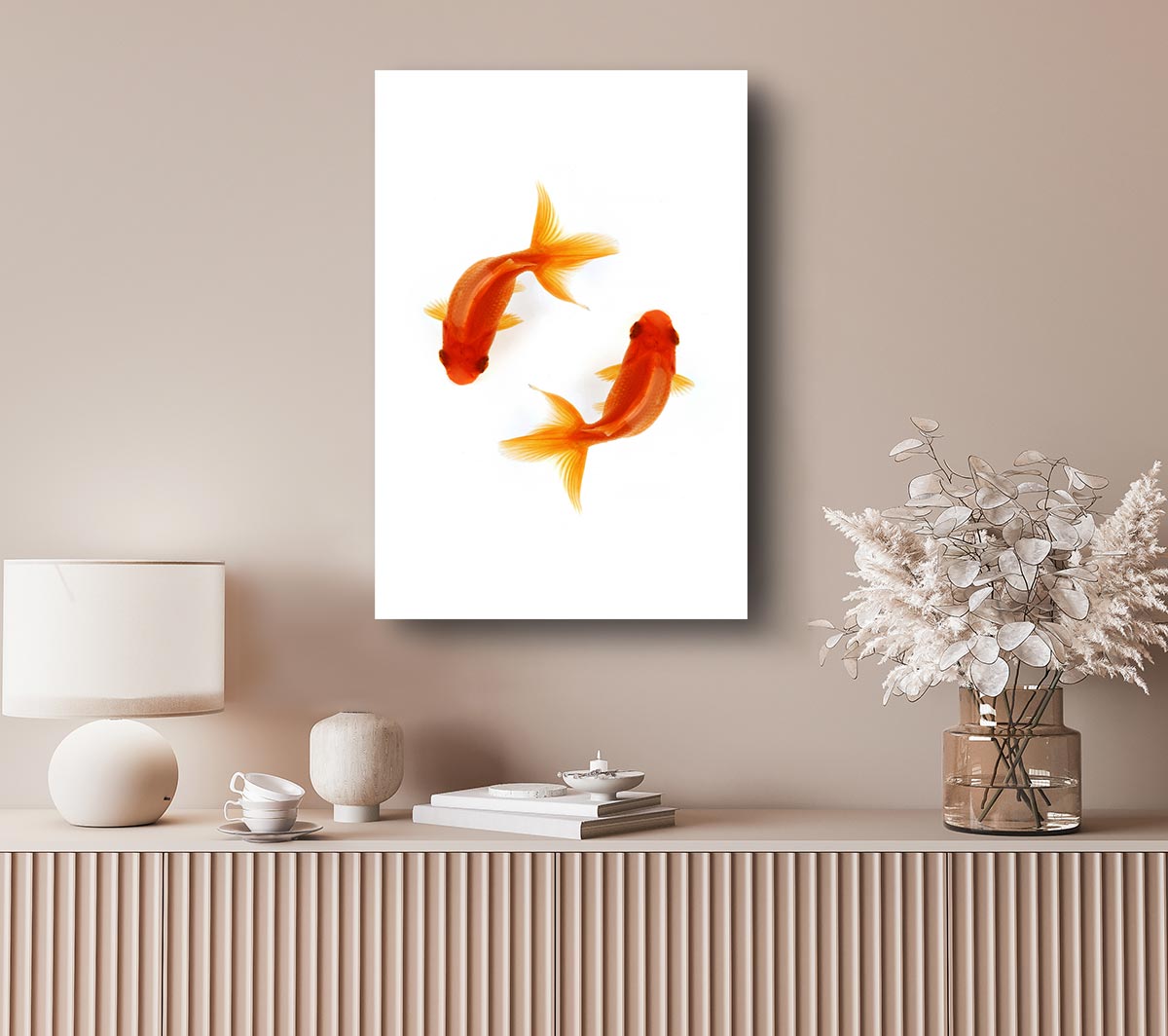 Goldfish Reflections