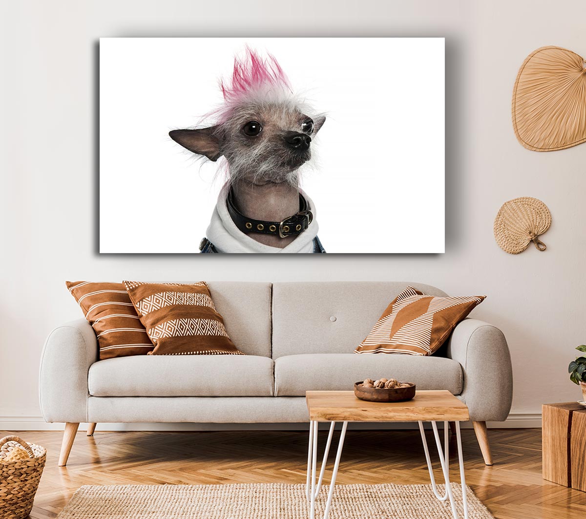 Chinese Crested Punk Dog