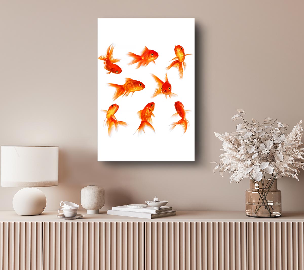 Goldfish Party