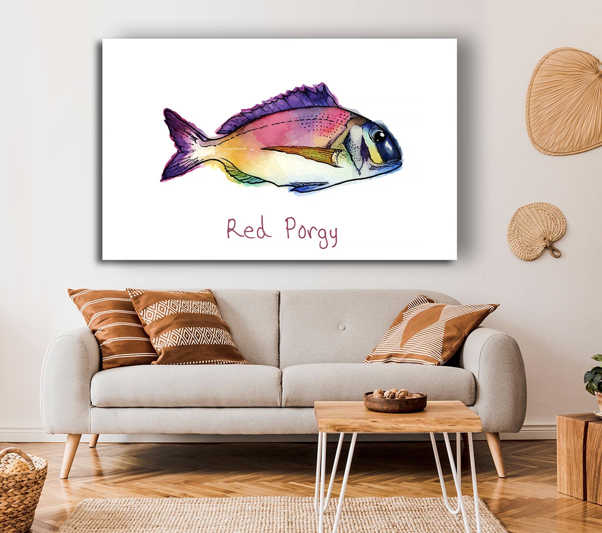 Red Porgy Rainbow