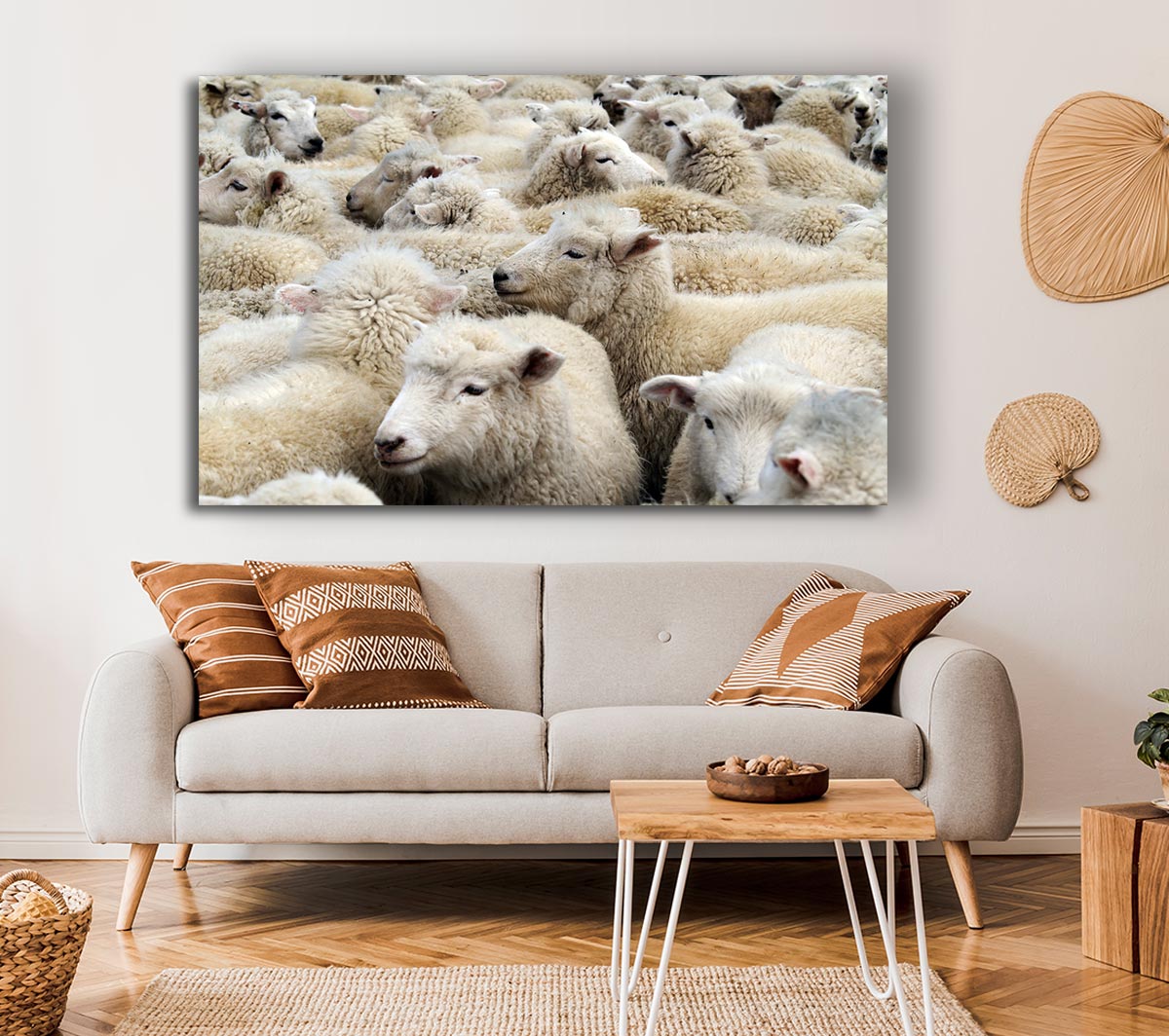 Sheep Heard