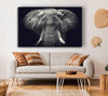 Majestical Elephant