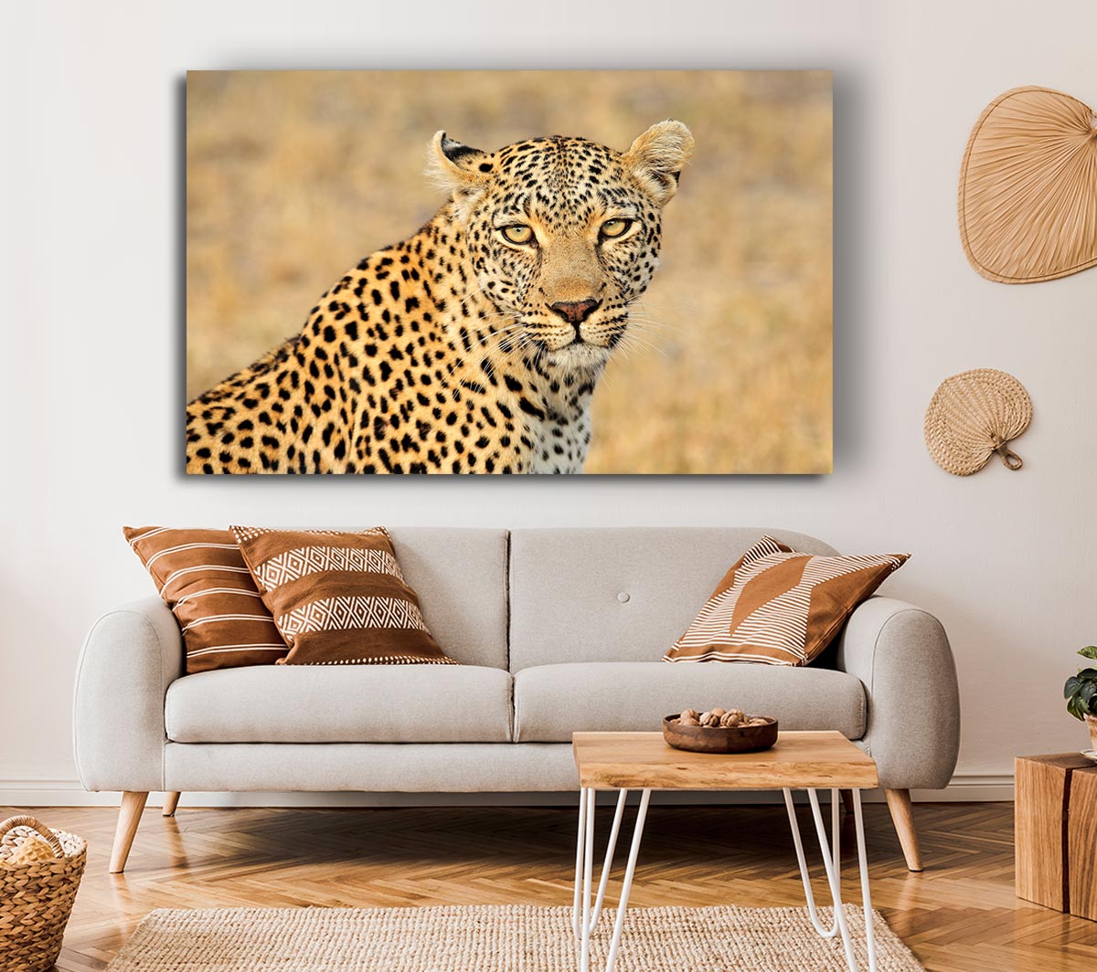 Stunning Leopard