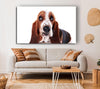 Basset Hound Look