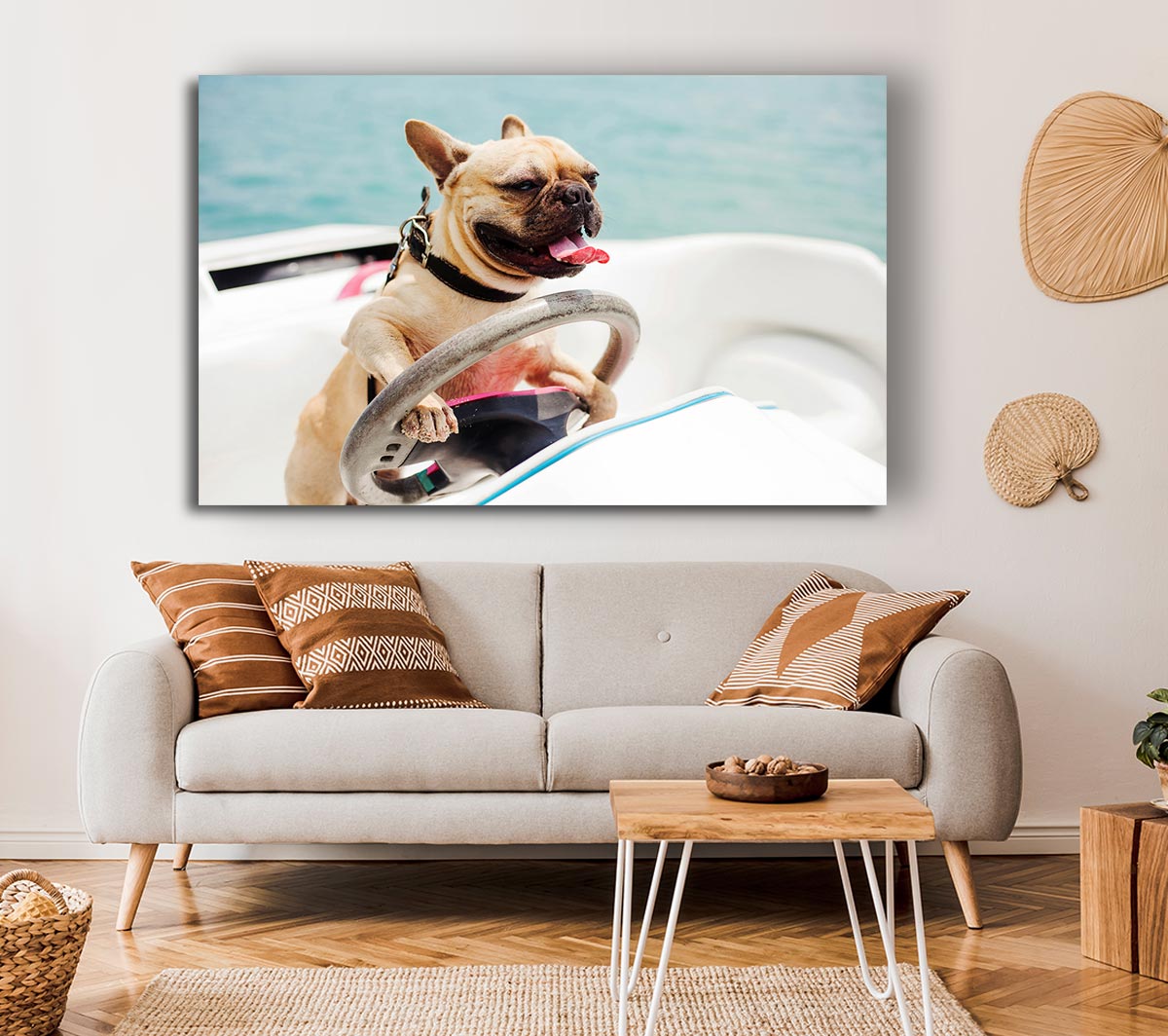 Speed boat French bulldog