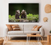 Two bear cubs playing