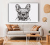 French Bulldog Sketch