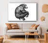 Chimpanzee Sitting