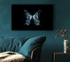 Butterfly X Ray