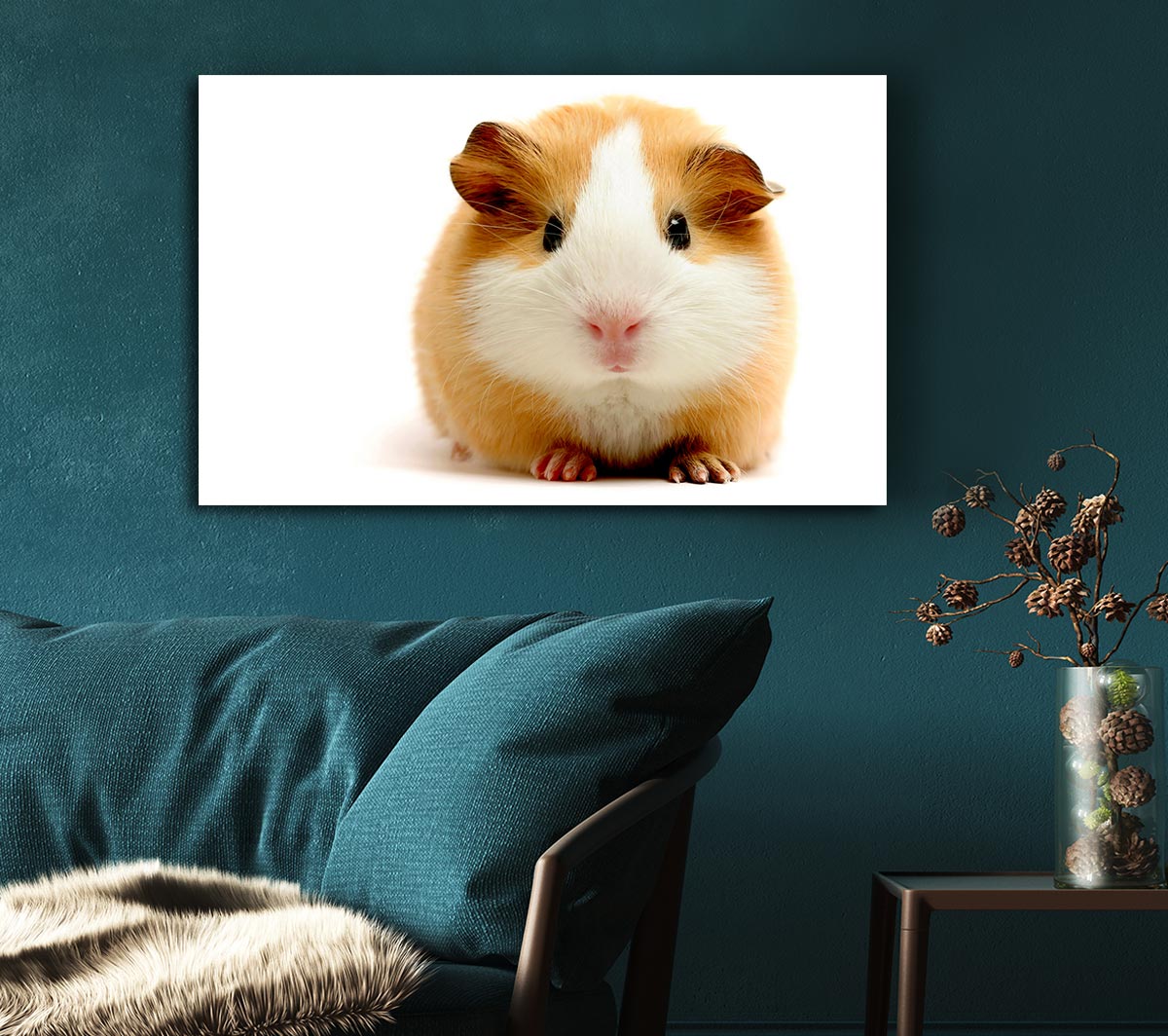 Cute Guinea Pig