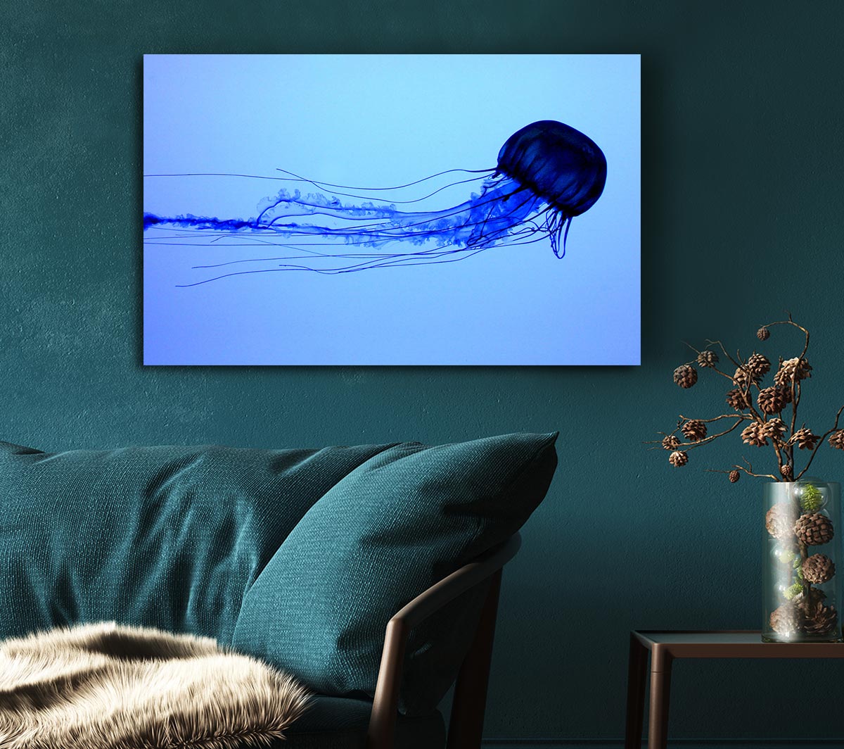 Elegant Jellyfish