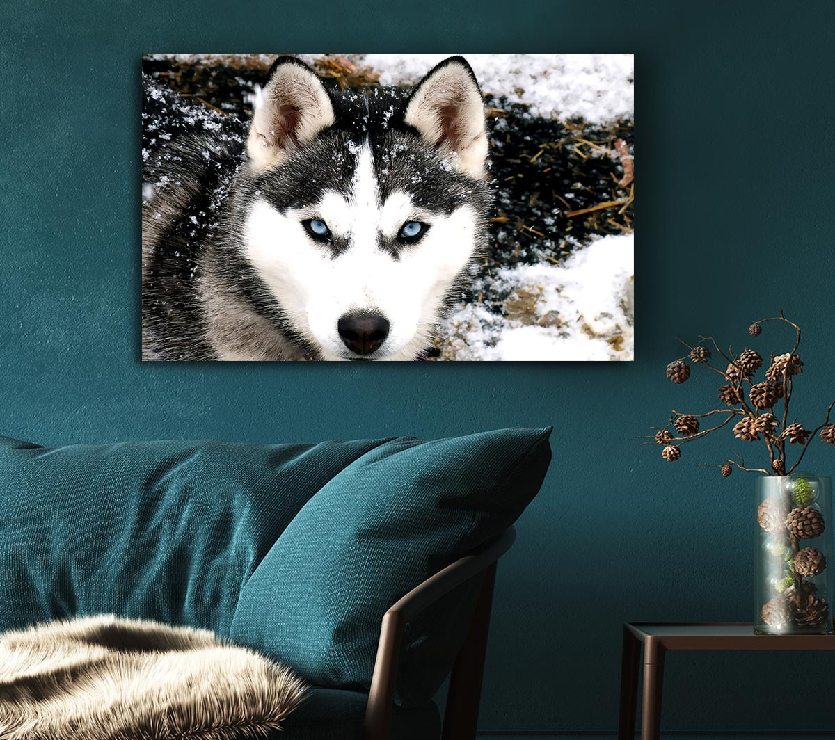 Siberian Husky Wolf